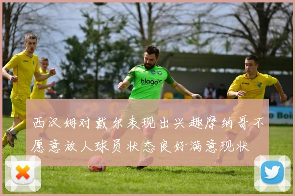 西汉姆对戴尔表现出兴趣摩纳哥不愿意放人球员状态良好满意现状